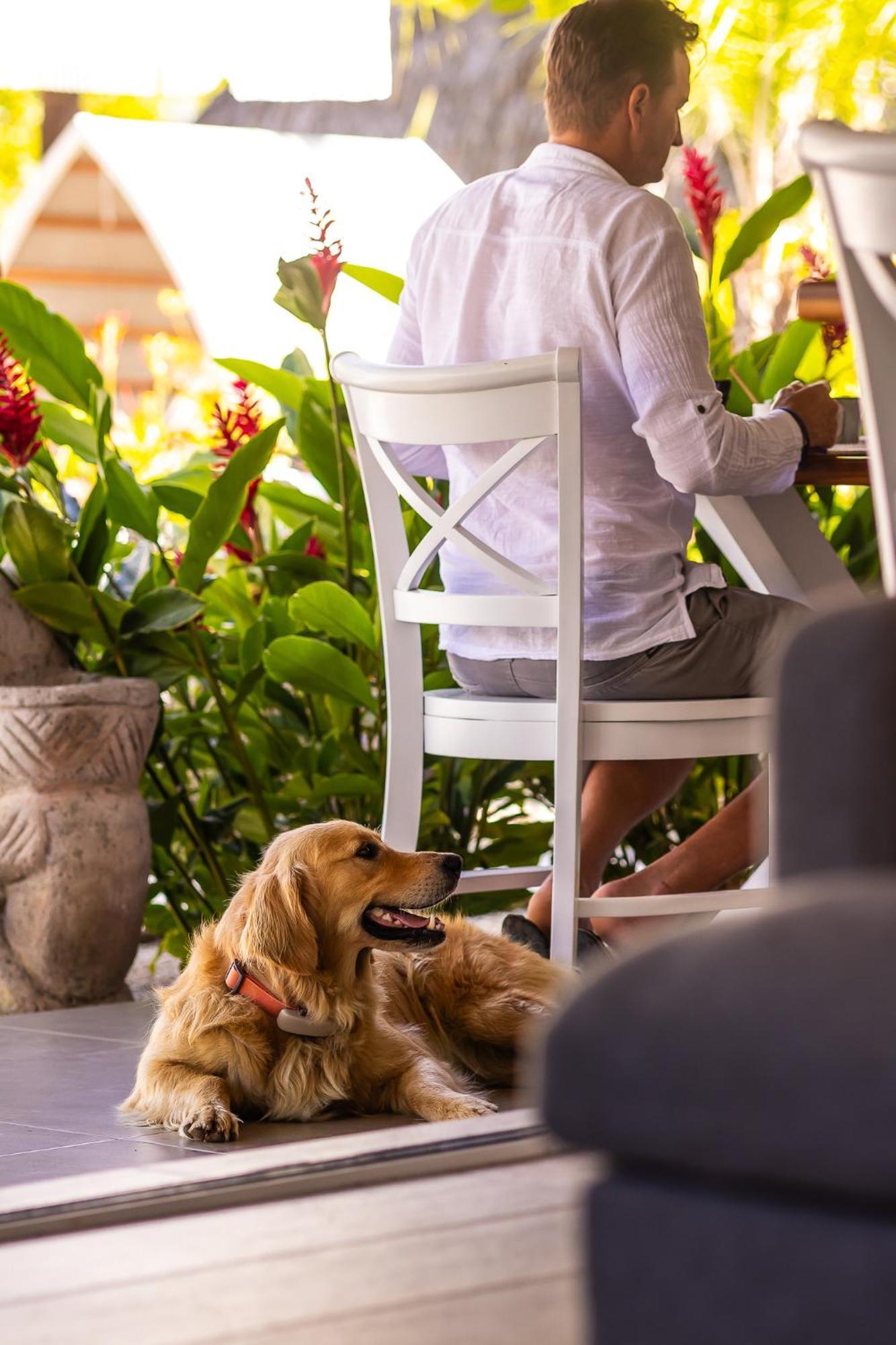 Les Voiles Blanches - Luxury Lodge Tamarindo Eksteriør billede