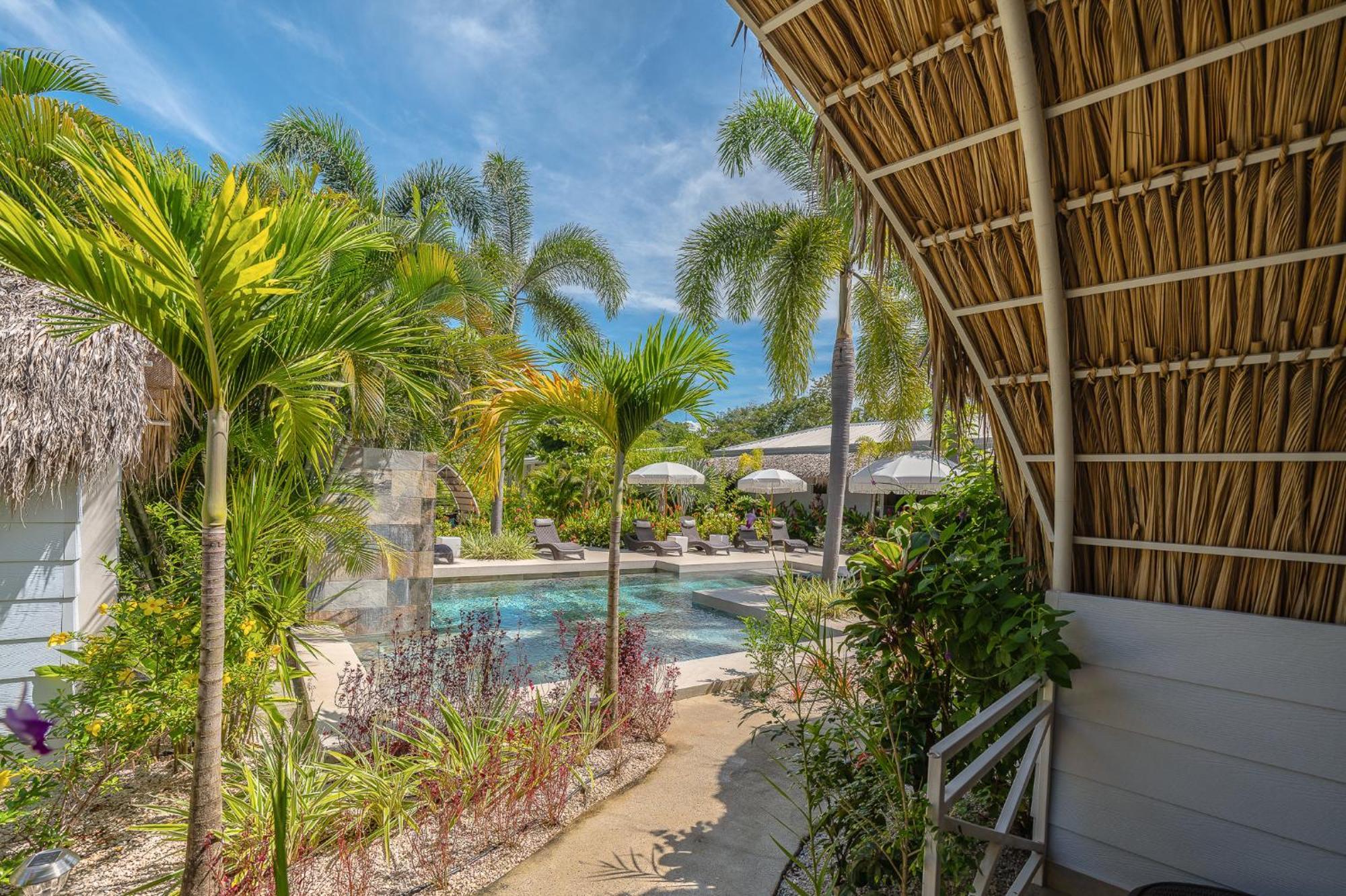 Les Voiles Blanches - Luxury Lodge Tamarindo Værelse billede